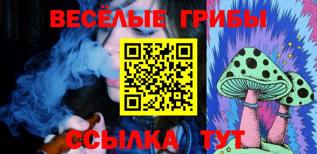 Ангарск  Псилоцибиновые грибы мицелий  Псилоцибиновые грибы MAGIC MUSHROOMS  Вход с VPN 